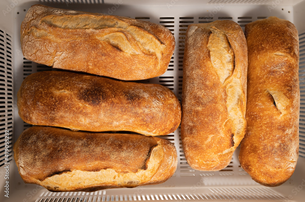 Fresh hot artisan bread in a white plastic transport box. Healthy and tasty food baked goods