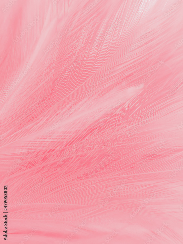 Các chiếc lông vũ màu hồng nhạt tuyệt đẹp sẽ cho bạn trải nghiệm một tác phẩm nghệ thuật trừu tượng hấp dẫn với sắc thái tươi trẻ và nữ tính.