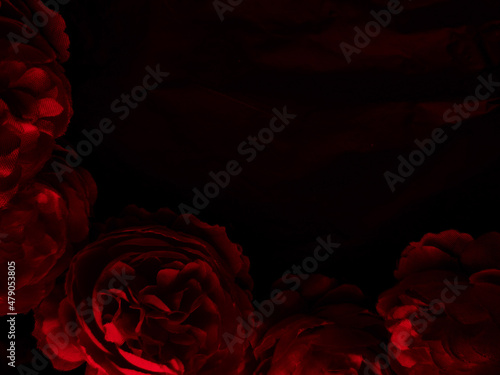 Beautiful abstract color black and red flowers on black background, light pink flower frame, pink leaves texture, dark background, Christmas and valentines day celebration, love theme, red texture 