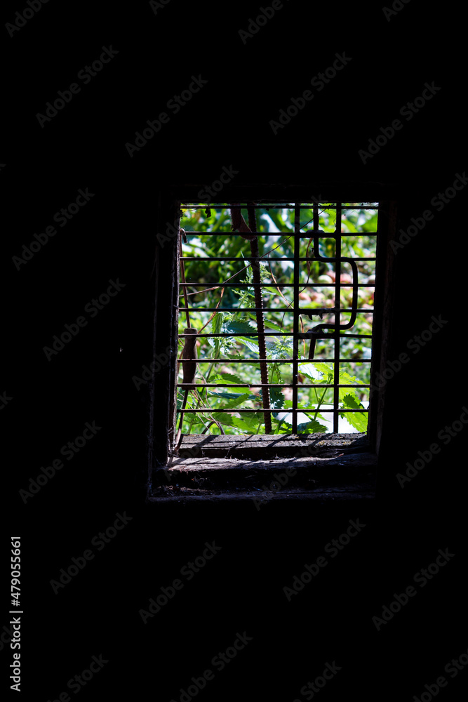 View from a dark barn through a window closed with an iron grate