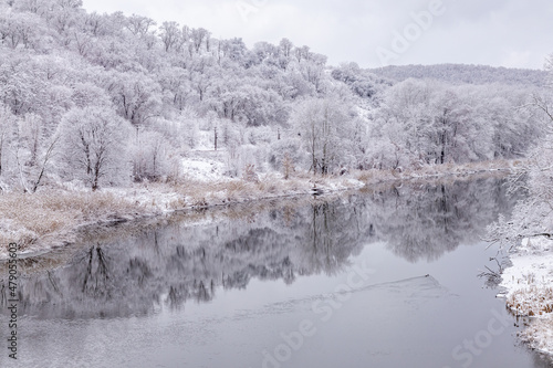 River landscape and trees covered with fresh snow during winter Christmas. © Nataliia