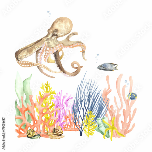 Watercolor illustration of an octopus among the coral reef. Perfect for design postcards  invitations  logos  websites  textiles  souvenirs and more.