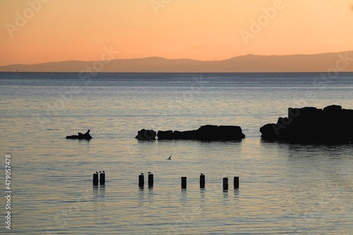 Seagulls and beautiful sunset on the beach in Split, Croatia. Selective focus. 