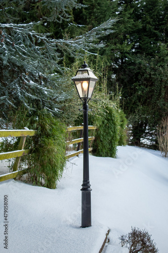 Light on in Lamp Post in a Snowy Garden, Ireland