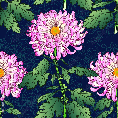 Vector seamless pattern of hand drawn bright pink and white chrysanthemums with green leaves in Japanese graphic style on dark blue background.