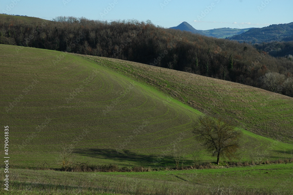 Paesaggi della campagna della Val di Cecina. tra province Siena e Pisa