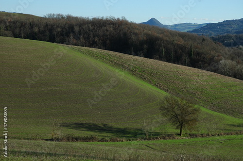Fototapeta Naklejka Na Ścianę i Meble -  Paesaggi della campagna della Val di Cecina. tra province Siena e Pisa