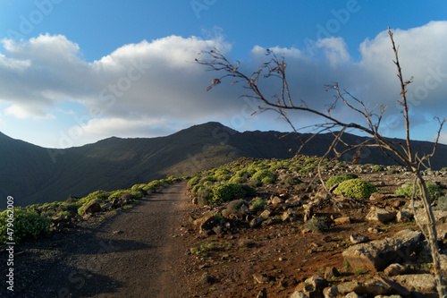fuerteventura
