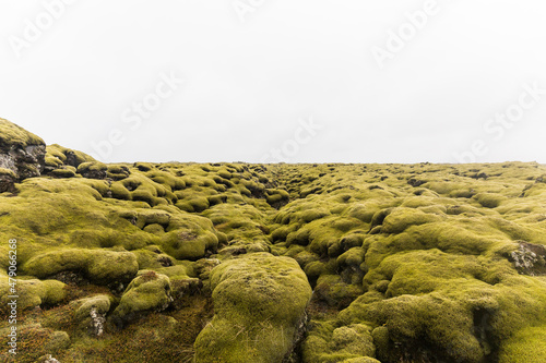 desert of moss in iceland