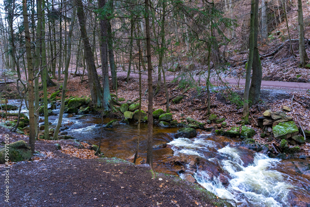 river in the forest (Harz, Germany) river in the forest (Harz, Germany)