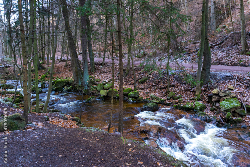 river in the forest (Harz, Germany)