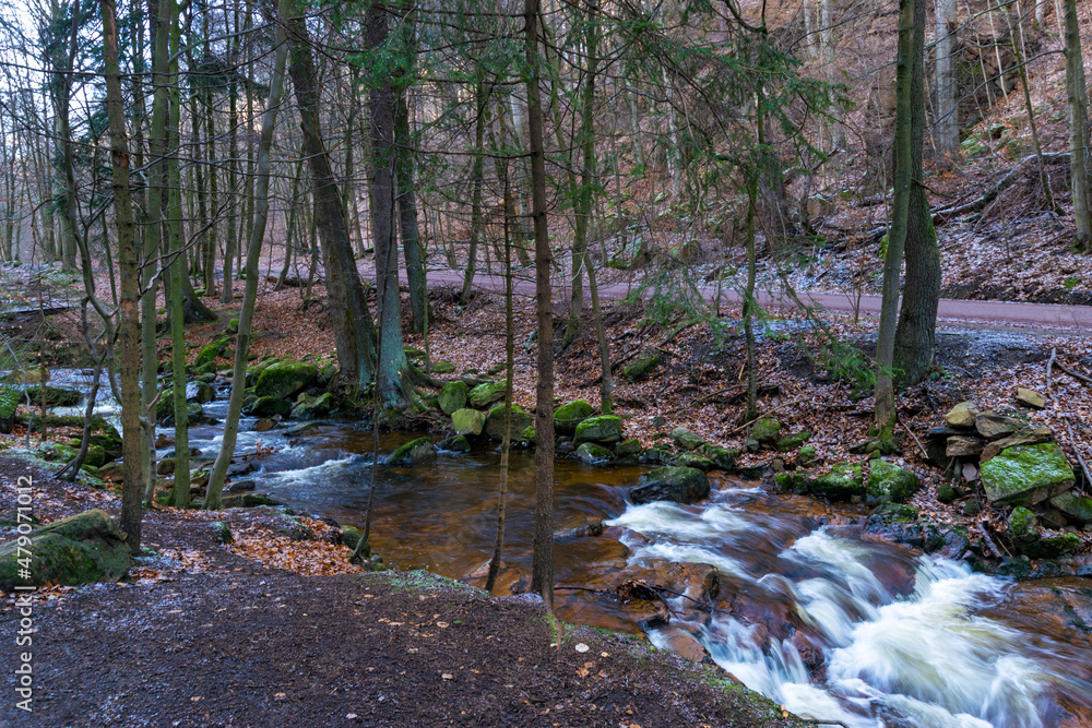 river in the forest (Harz, Germany) river in the forest (Harz, Germany)