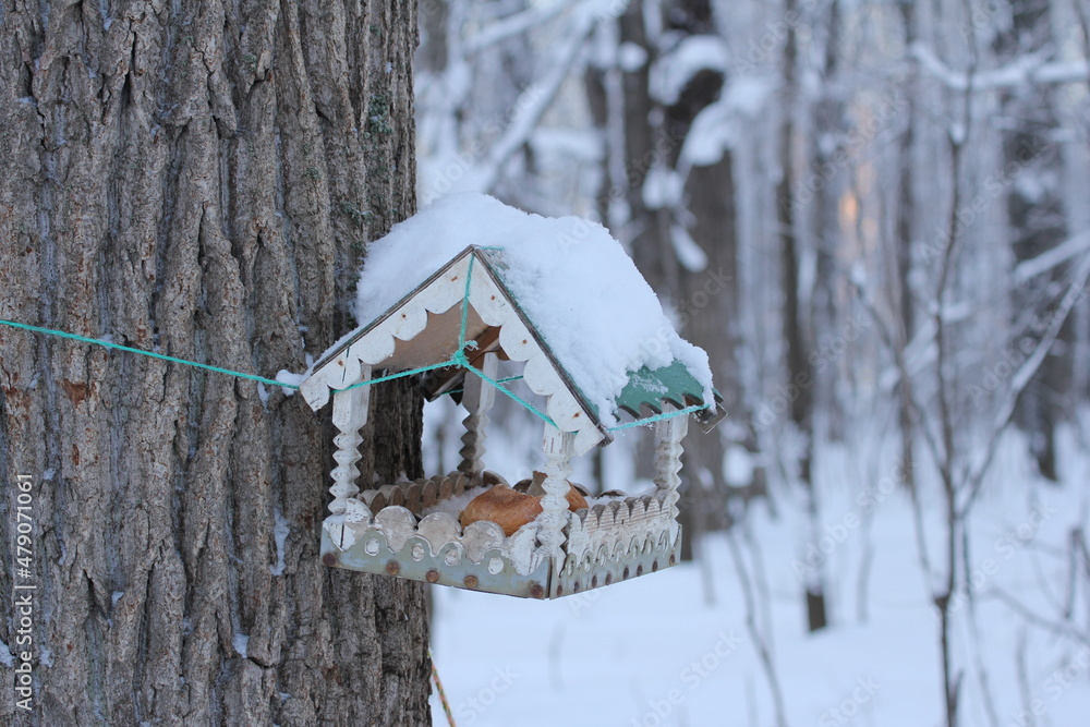 Wooden feeder hanging on a tree branch in the winter forest. Wooden feeder hanging on a tree branch in the winter forest.
