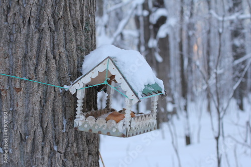 Wooden feeder hanging on a tree branch in the winter forest.