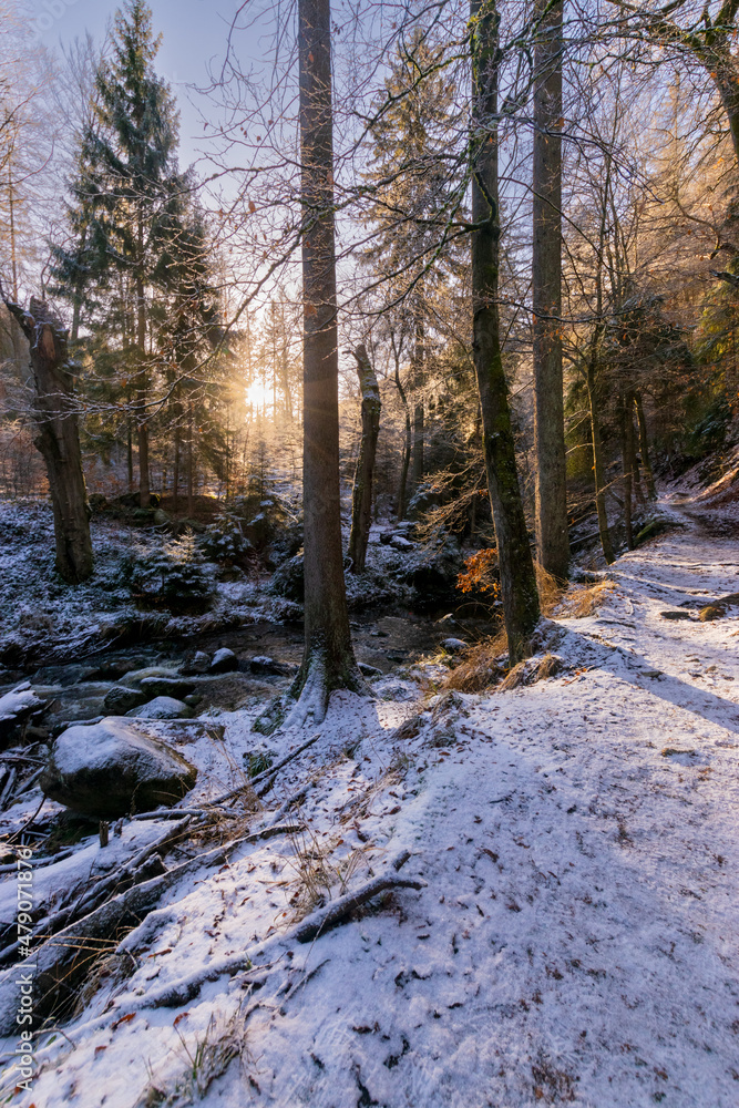 sunny forest with a river in winter (Harz, Germany) sunny forest with a river in winter (Harz, Germany)