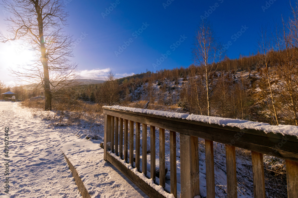 wooden bridge in winter (Harz, Germany) wooden bridge in winter (Harz, Germany)