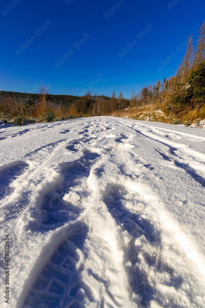 footsteps at sunny path during winter (Harz, Germany)
