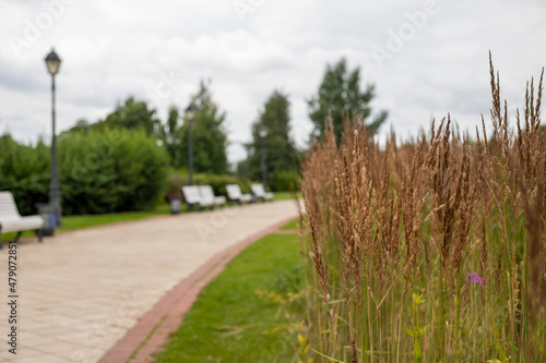 Photography Walking area in Tsaritsyno Park in Moscow