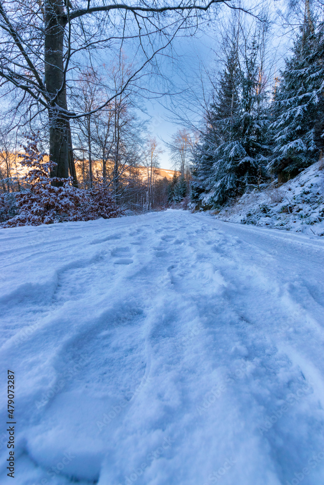 footsteps at a hiking path during winter (Harz, Germany)