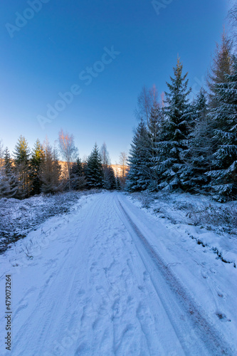 hiking path during winter (Harz, Germany)