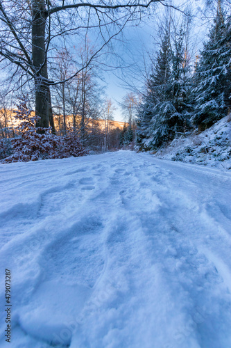 footsteps at a hiking path during winter (Harz, Germany) © Franziska Brueckmann