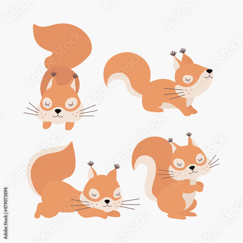 Scandinavian set of cute sleeping little squirrels. Hand drawn vector elements for nursery decoration, baby shower, birthday, children's party, poster, invitation, postcard, kids clothes