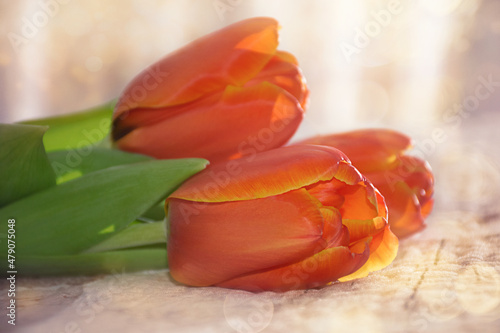 bouquet of red and yellow tulip flowers