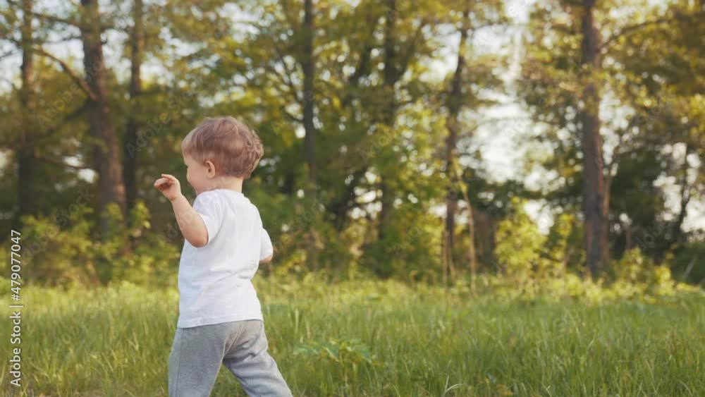 baby run the first steps. kid running in nature on the grass in park silhouette. happy family kid dream concept. people in the park lifestyle. baby run, outdoor fitness forest. happy family catch-up baby run the first steps. kid running in nature on the grass in park silhouette. happy family kid dream concept. people in the park lifestyle. baby run, outdoor fitness forest. happy family catch-up