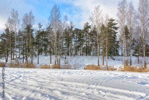 Winter landscape with trees and a lake in the Leningrad region.