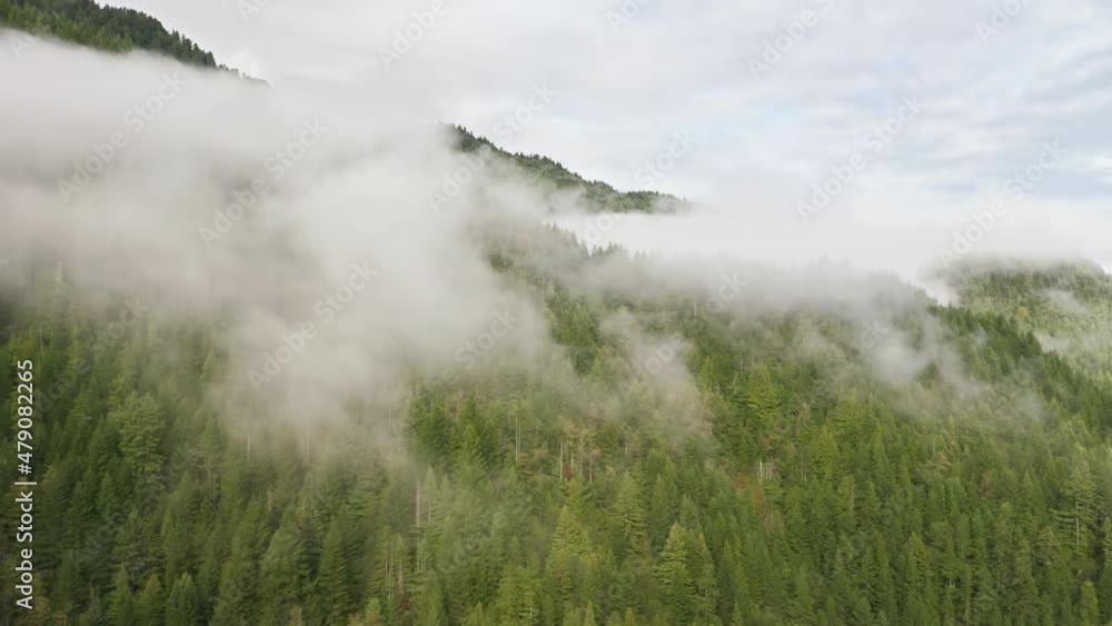 Beautiful scenery of untouched rural nature as seen from above. Aerial footage of remote countryside with dense green forests and low white clouds. High quality 4k footage Beautiful scenery of untouched rural nature as seen from above. Aerial footage of remote countryside with dense green forests and low white clouds. High quality 4k footage