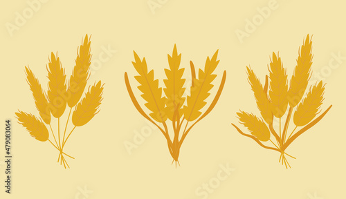 Vector set bouquets of wheat, dried flowers, rye, barley ears, wheat germ grains. Cute and flat style. Beautiful illustration for creating design, stickers, wrappers, postcards, banners, websites.
