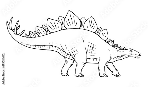 Stegosaurus herbivorous dinosaur on white background. There are plates on the back  sharp thorns on the tail. Jurassic prehistoric animal. Vector isolated line illustration hand drawn. Black and white