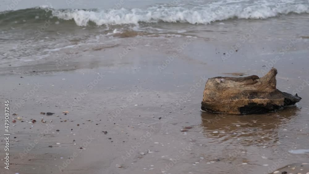 beached log, beached log by the sea, writing area beached log, beached log by the sea, writing area