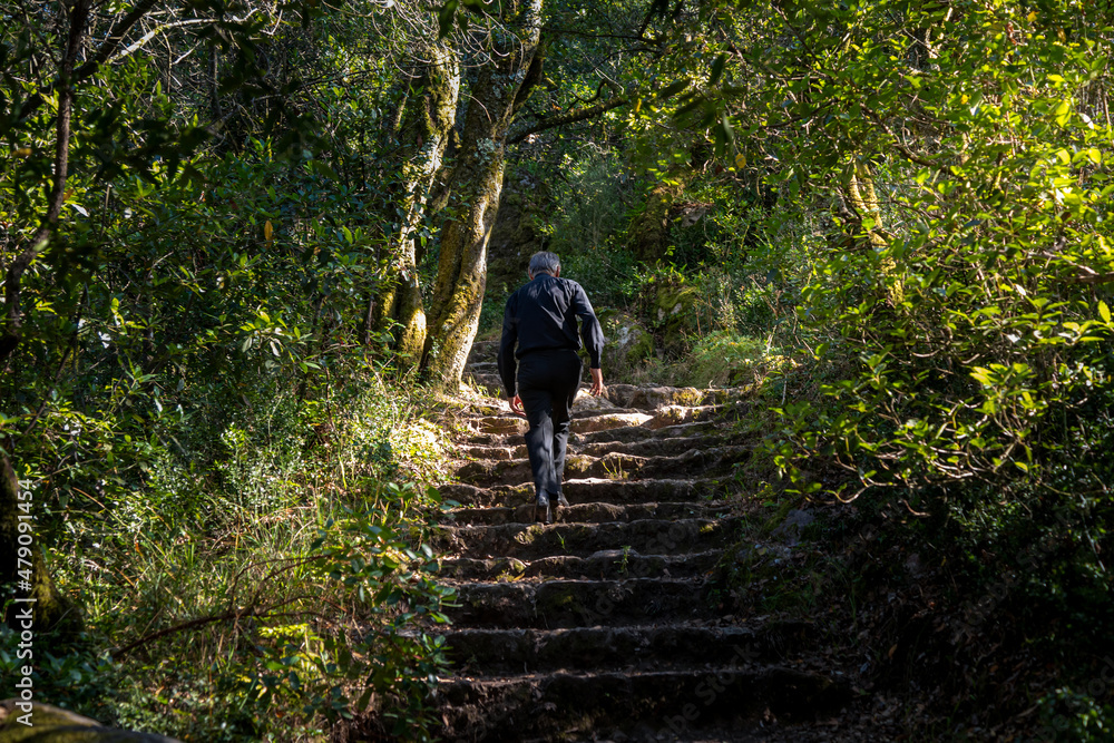 A priest climbs a mountain by stone steps in the Relic Forest of Bussaco, Portugal