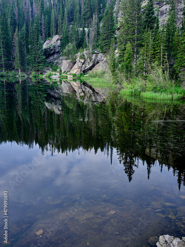 Fototapeta Naklejka Na Ścianę i Meble -  Crystal Clear Bear Lake and tree reflections in a vertical image in the Rocky Mountains National Park