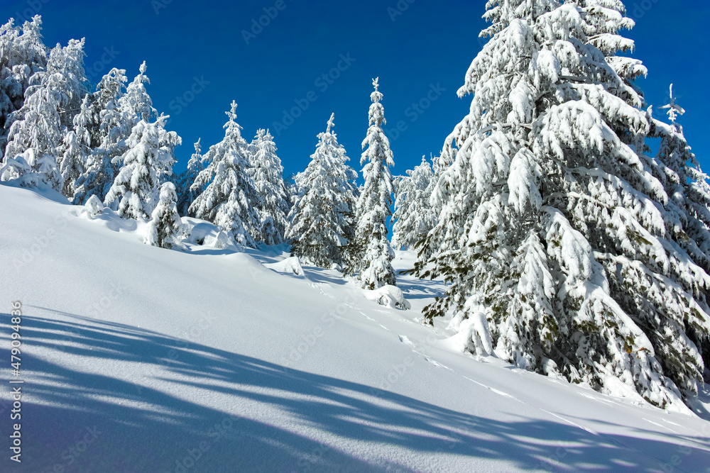 Winter landscape of Vitosha Mountain, Bulgaria