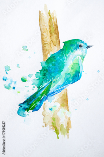 Aquarelle blue bird, hand painted on the white watercolour paper