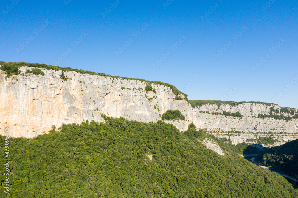 The imposing Gorges de lArdeche and its green forests in Europe, France, Ardeche, in summer, on a sunny day.