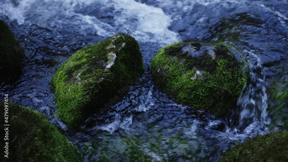 Gros plan d'eau qui coule sur des rochers recouverts de mousse Gros plan d'eau qui coule sur des rochers recouverts de mousse