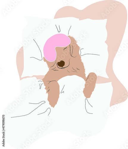 The dog is sleeping in bed. Sleeping mask. Golden retriever. Digital vector illustration