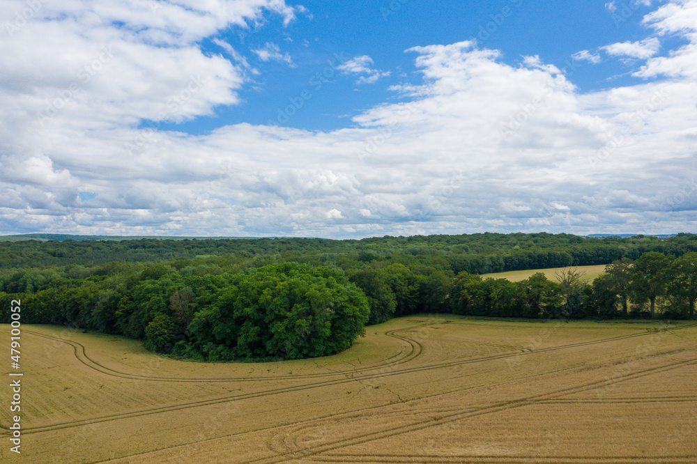 Forests and fields of the French countryside in Europe, France, Burgundy, Nievre, in summer, on a sunny day.