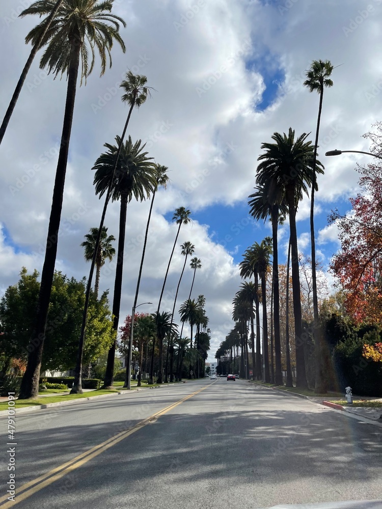 Fototapeta premium BEVERLY HILLS