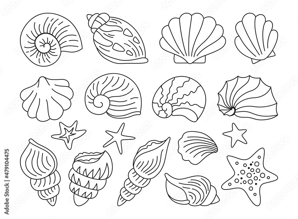 Seashells doodle hand drawn set. Ocean marine shell, starfish spiral mollusk, conch sink. Tropical travel under water design elements outline collection. Contour kit isolated vector illustration Seashells doodle hand drawn set. Ocean marine shell, starfish spiral mollusk, conch sink. Tropical travel under water design elements outline collection. Contour kit isolated vector illustration