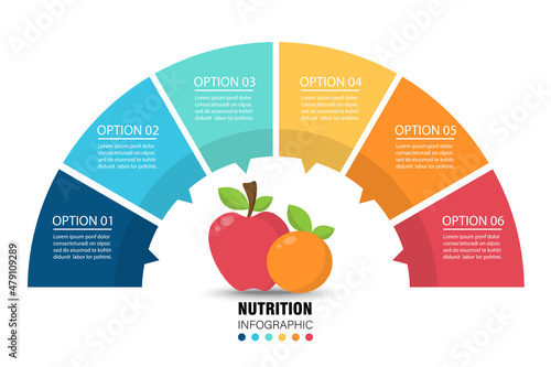 Fruit semi circle infographic on white background. Nutrition and healthy eating concept. Vector illustration in flat design.