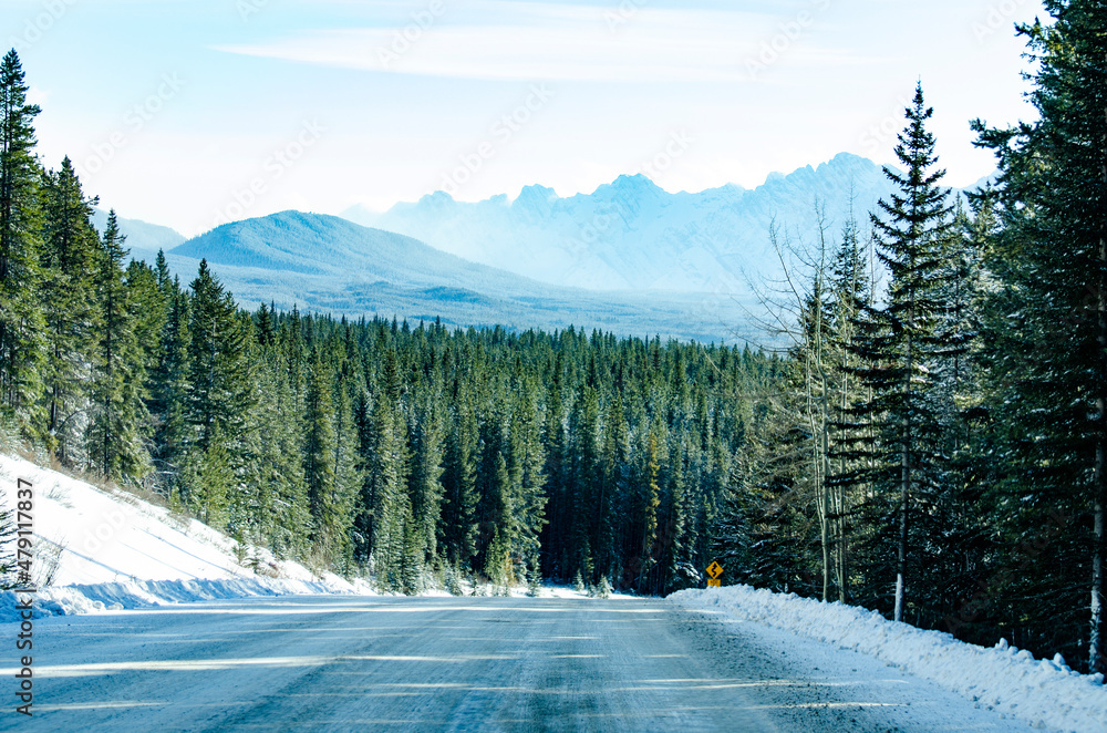 Road into the Forest in Winter Road into the Forest in Winter