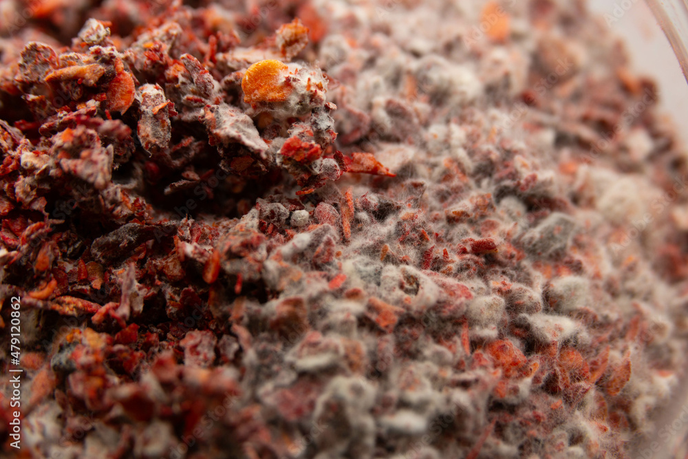 Improper storage of paprika led to the appearance of mold.