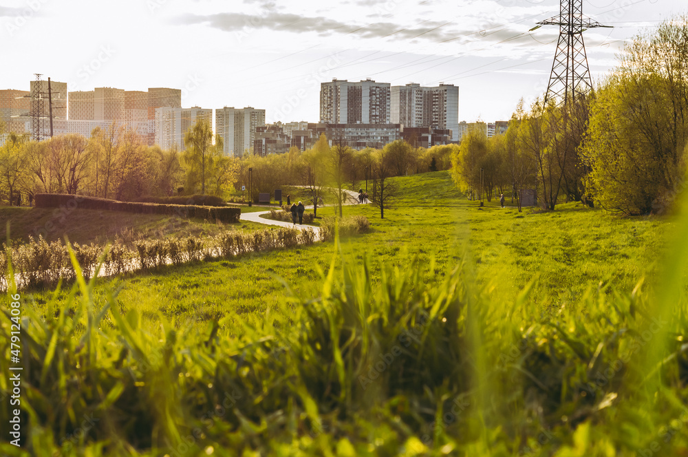 view from the park to modern houses at sunny spring day. Urban landscape with grass field and contemporary residential buildings. outdoor nature background.