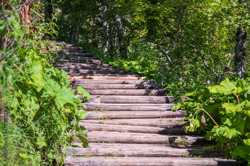 Wooden path with handrails along the Plitvice lakes and mountain forest in National Park. Croatia, Europe