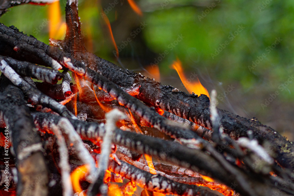 A burning bonfire in the forest. Bonfire in the forest. A burning bonfire in the forest. Bonfire in the forest.