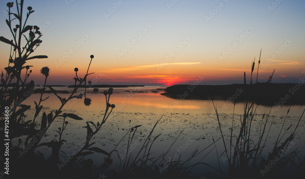 Dawn landscape at the reservoir. Dawn landscape on Lake Onega above the forest shore with fog on the water surface.